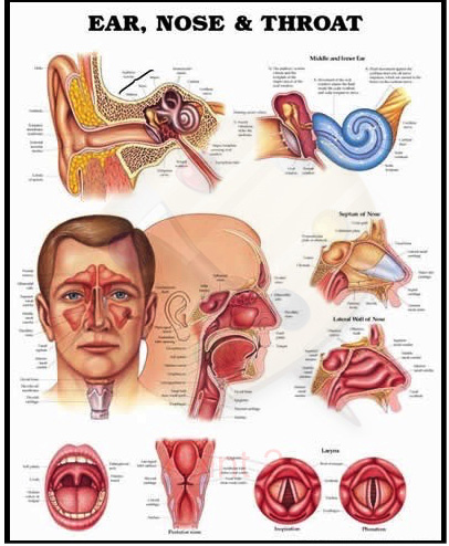 Medical 3